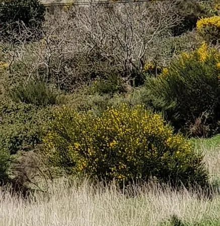 Emilia Atico Appartement